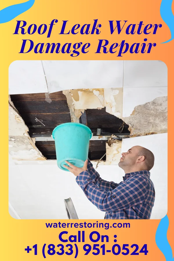 Roof Leak Water Damage Repair in South Pekin, IL
