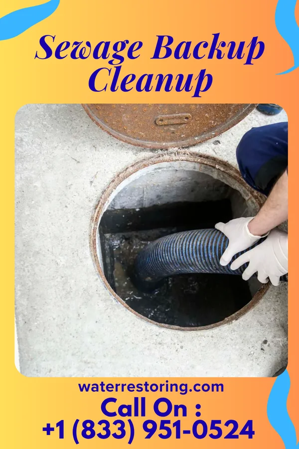 Sewage Backup Cleanup in South Pekin, IL