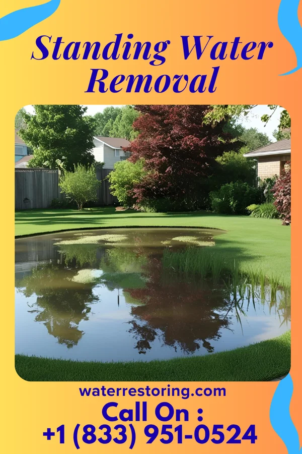 Standing Water Removal in South Pekin, IL